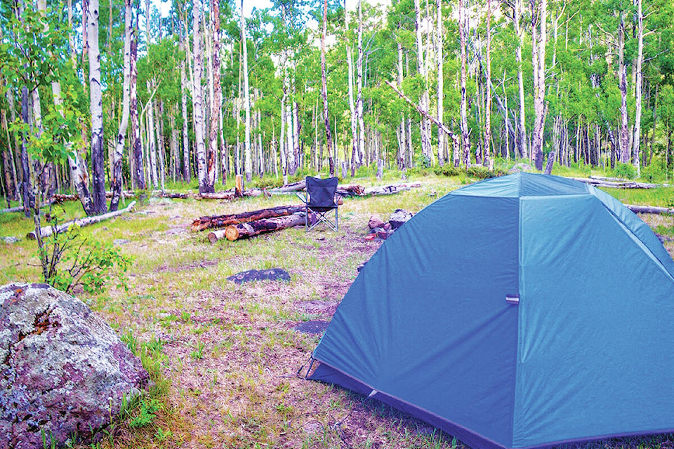 33178032_web1_Camping-Tent-Metro