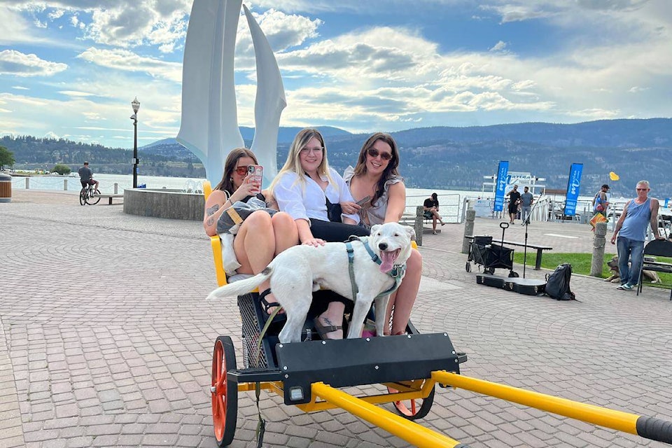 33204953_web1_230706-KCN-powerrickshaw-pic_1