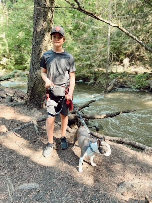 Boston clearance terrier hiking