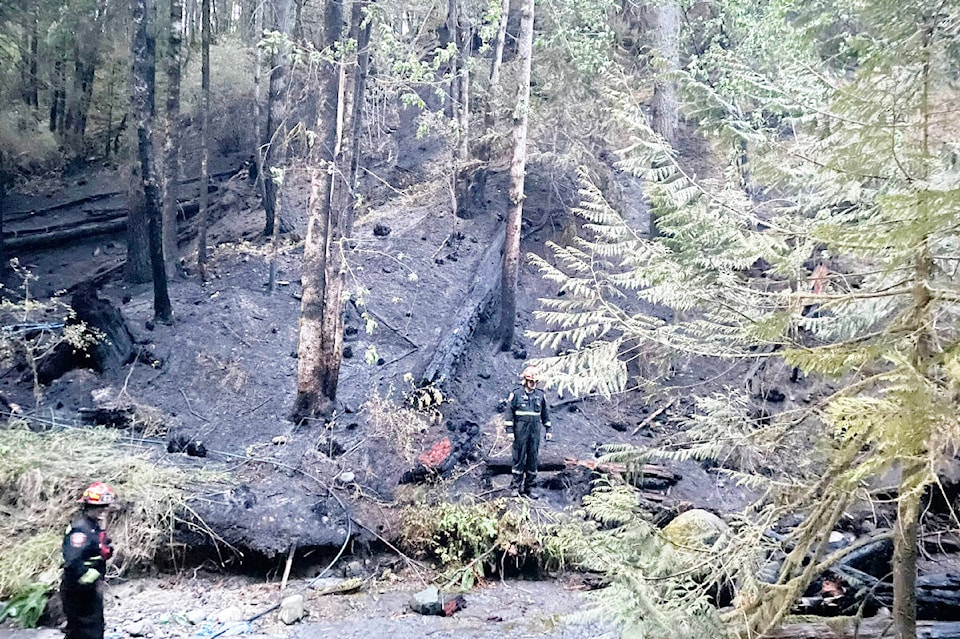 33388536_web1_230719-AVN-Dry-Creek-fire-light_1