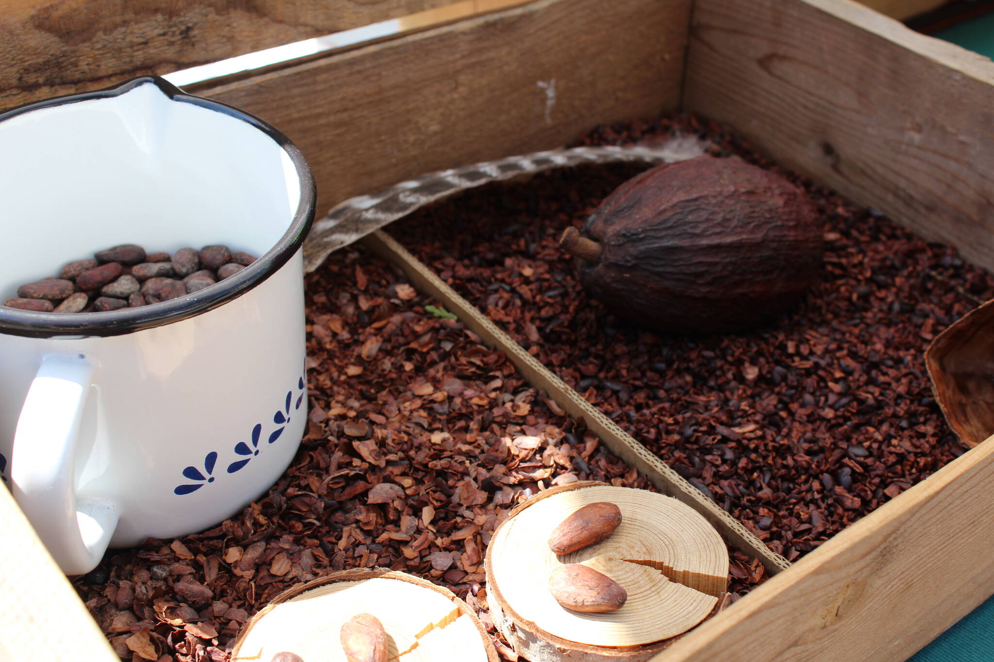 Rivas cocoa beans the basis of the chocolates flavour. (Zachary Delaney/Revelstoke Review)