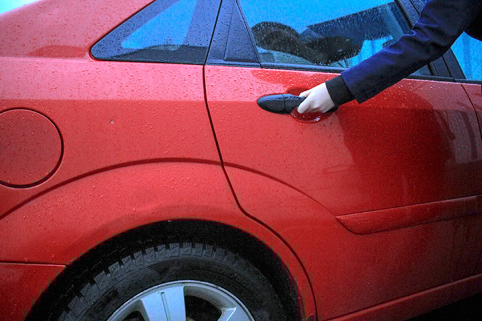 33542073_web1_TST-Car-door-theft-NataliaBalcerzak