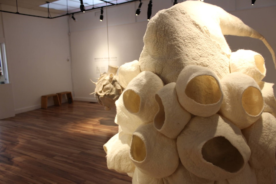 (Zachary Delaney/Revelstoke Review)