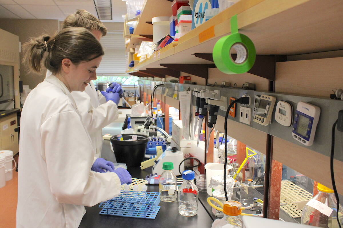 Deeley Research Centre research assistant Breeze Gladwin explores the role of B-cells and how they can be used to create cancer-fighting antibodies. (Jake Romphf/News Staff)