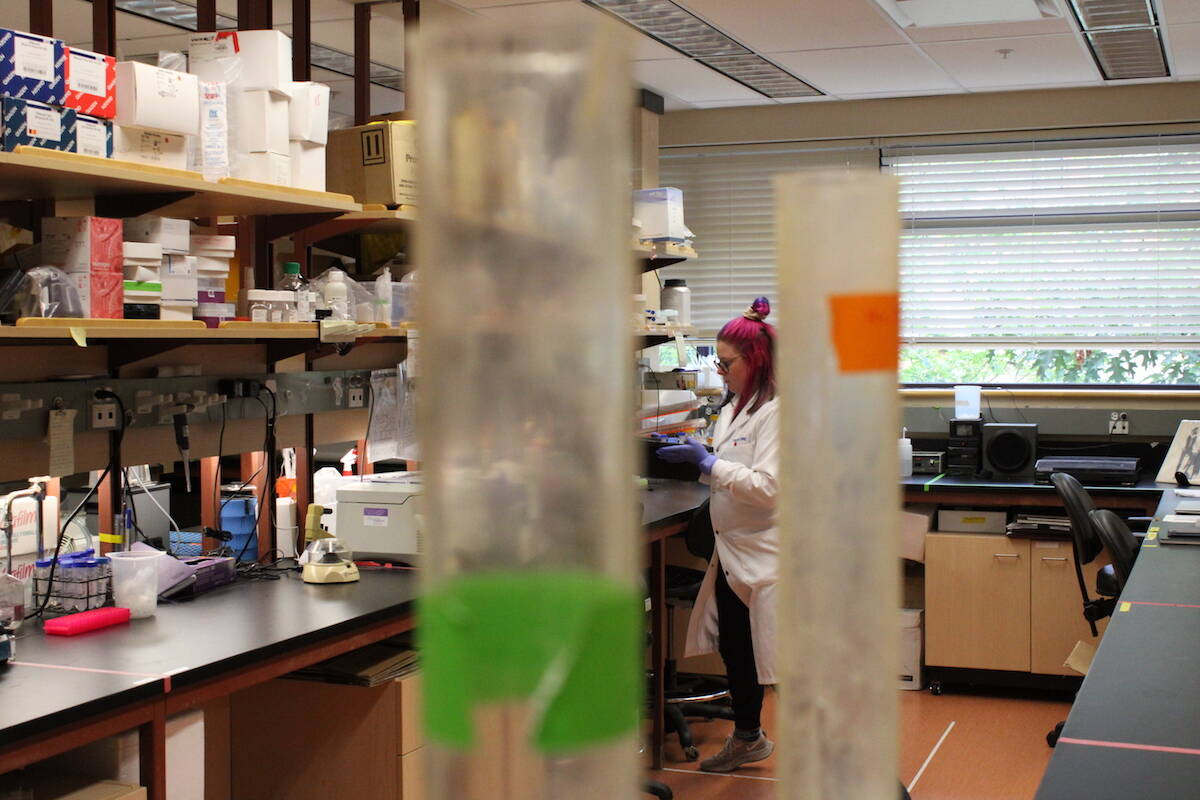 A member of the Deeley Research Centres on Aug. 23. (Jake Romphf/News Staff)