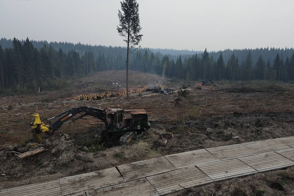 33838440_web1_230908-BPD-PrinceGeorge-RCMP-logging-arson_1