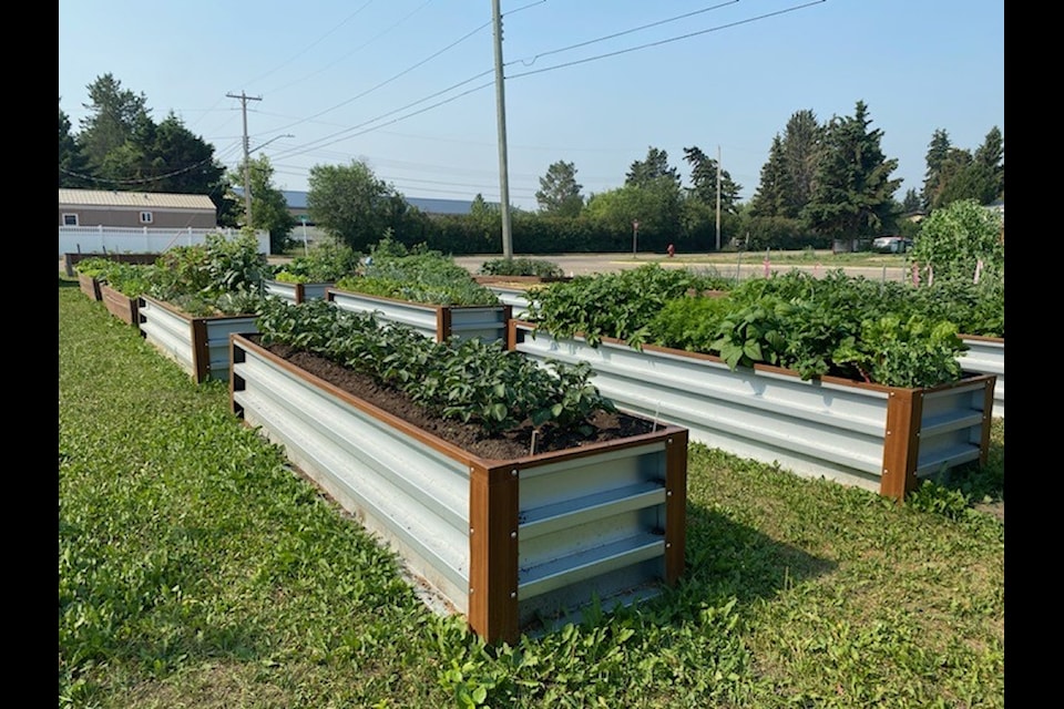 The Rimbey Community Gardens got some new metal planter boxes just in time for this year's gardening season. (Photos by Leah Bousfield/Rimbey Review)