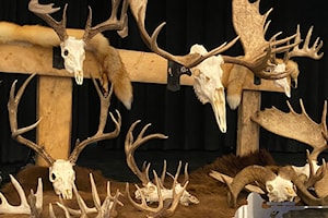 Rimbey Fish & Game Banquet sees sold out crowd