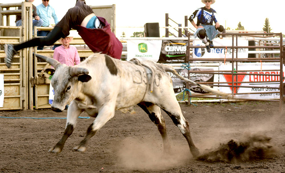 12239801_web1_lj-Bull-fighting-3255-WEB