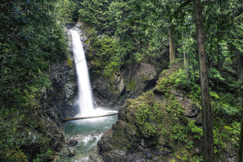 14846220_web1_copy_181221-MCR-Cascade-Falls-Regional-Park_1