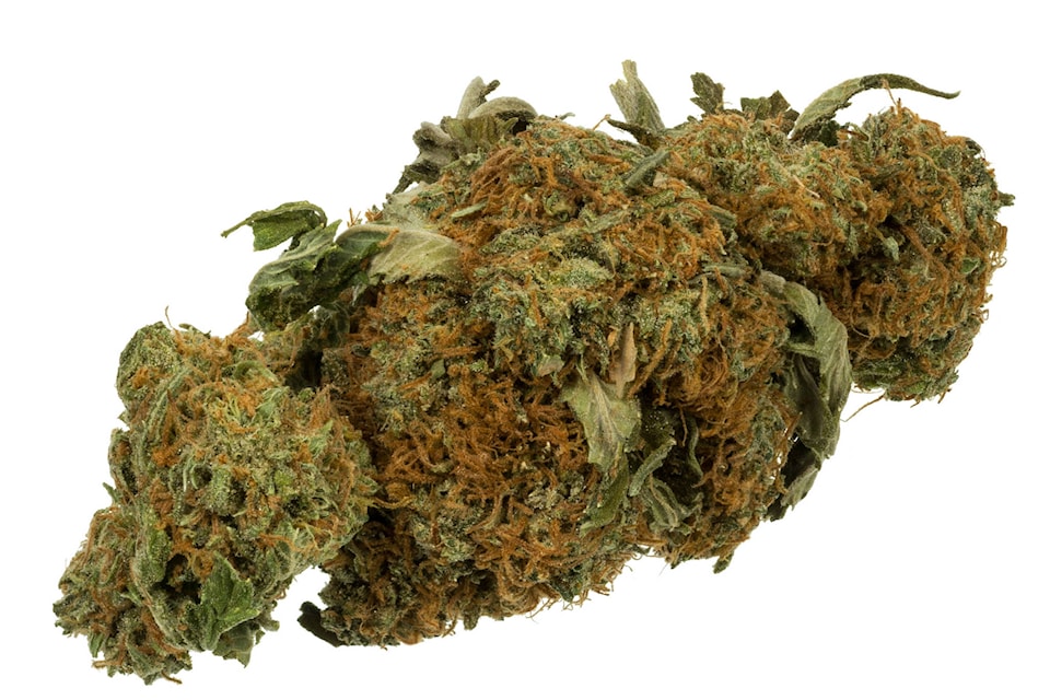 15031882_web1_Marijuana-Cannabis-Weed-Bud-Gram