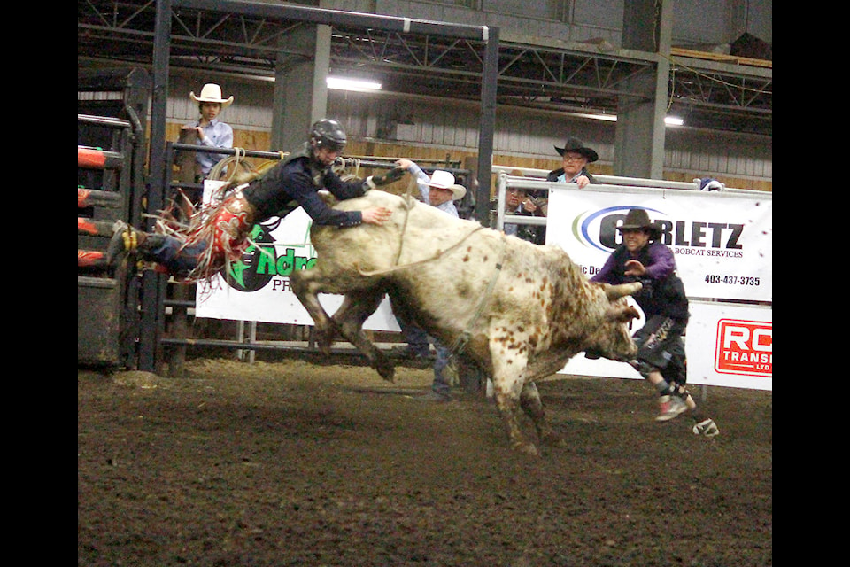 Dexter Patton flies off the rear end of Guilty by Association. There were some tough honkers during the Hell on Hooves at the Rimbey Agriplex Sat., March 23. Photos by Emily Jaycox