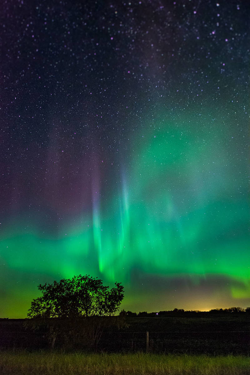 With long winter nights come more opportunities to see the Northern Lights. Photo: Joel Dennis