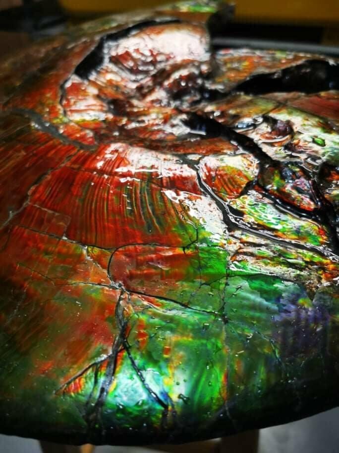 27142641_web1_211116-RIM-ammolite-book-rimbey-amolite_2