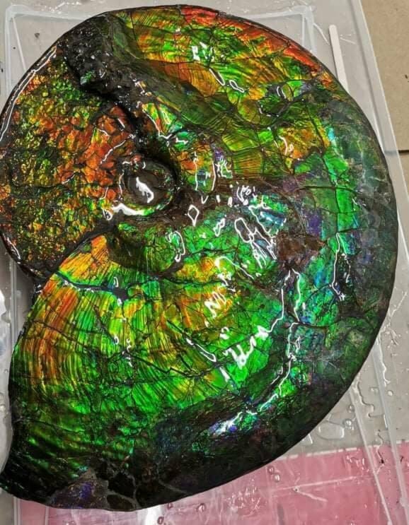 28521884_web1_211116-RIM-ammolite-book-rimbey-amolite_3