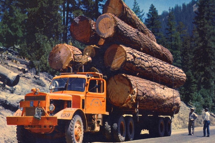 48004trailw-logging
