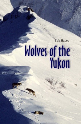 62071trailWolves_of_the_Yukon