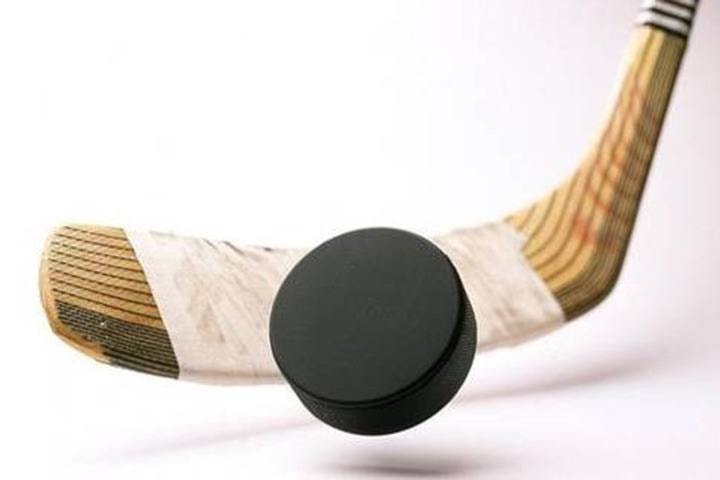 74759trailw-hockey