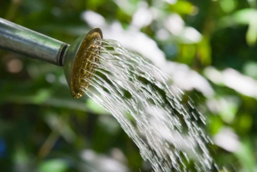 Hand watering only is permitted in Grindrod due to low water levels.
