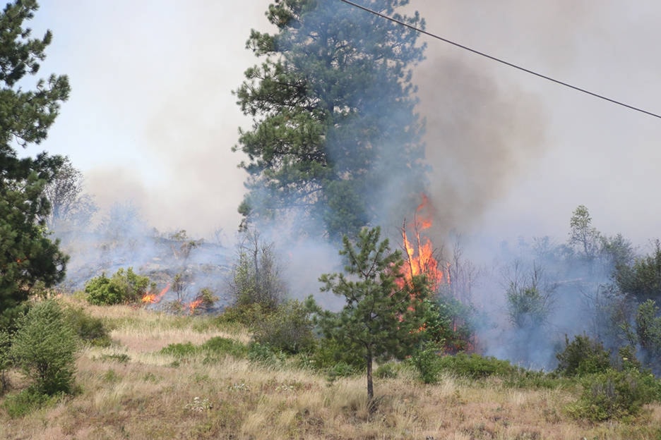 7666382_web1_170712-TDT-brush-fire1