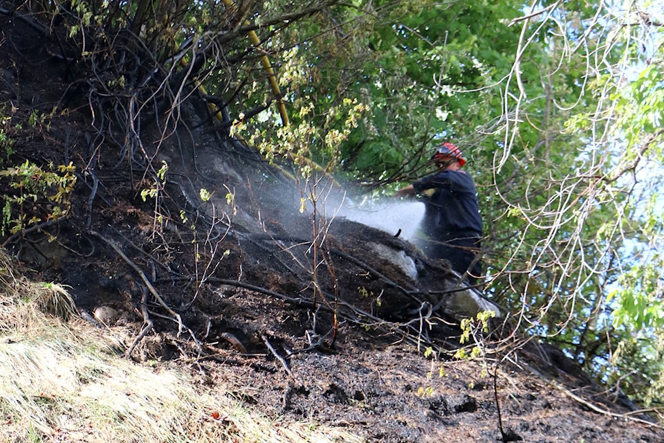 25205512_web1_210518-TDT-Brush-Fire-Pine-32_1