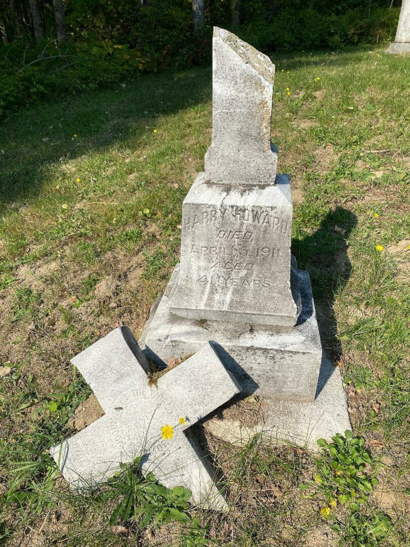 26486489_web1_210923-TRL-Cemetery-headstones_1