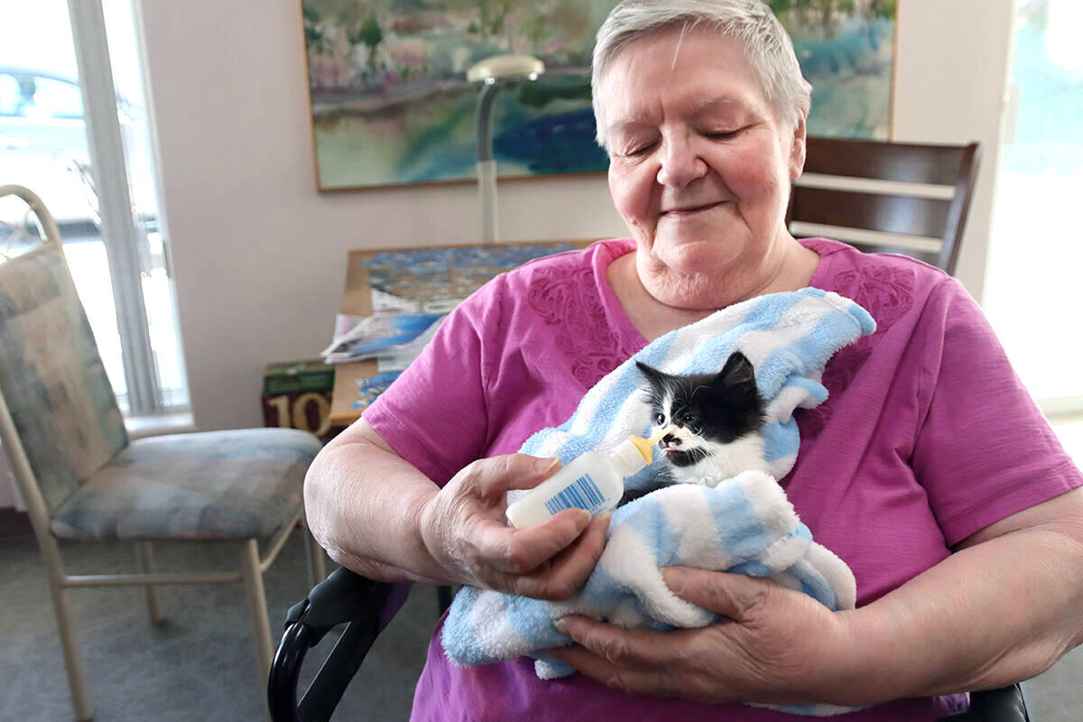 Jackie Austinson bottle-feeds little Mocha during kitty hour at Phoenix Manor Saturday, Oct. 30, 2021. Photo: Laurie Tritschler