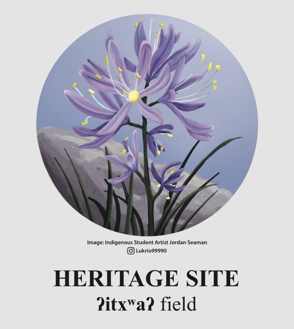 Beautiful image of Camas Indigenous student artist Jordan Seaman created for the Gyro Park sign.