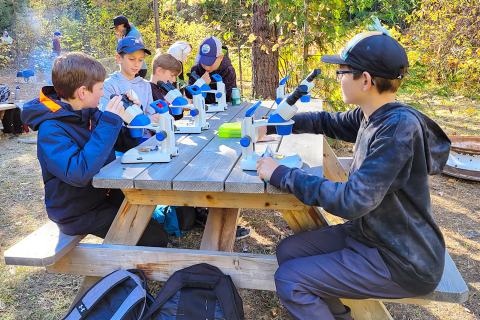 Students from HD Hutton’s grade 6/7 class examine their finds under microscopes. Photo: Chris Hammett