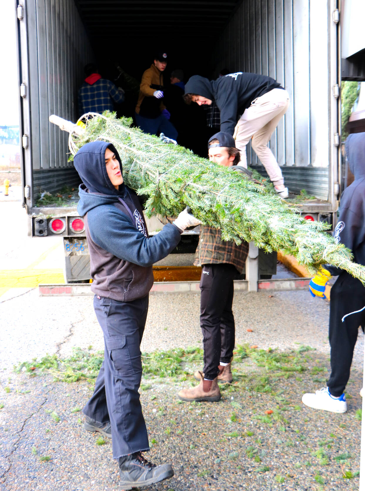 The Trail Smoke Eaters showed up at the Waneta Mall Sunday to unload a truck full of trees for the Kiwanis Christmas Tree sale. Photo: Jim Bailey