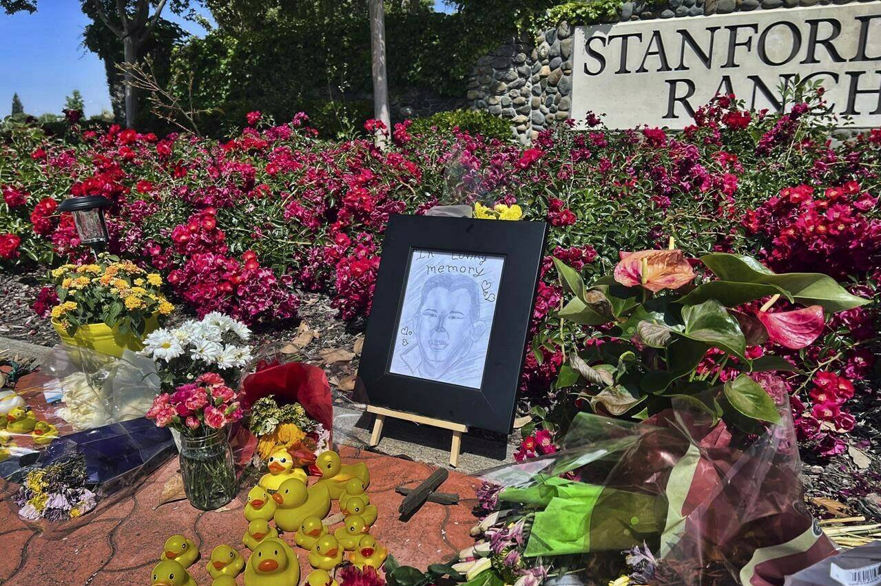 Father of 2 killed while helping ducklings safely cross busy California street