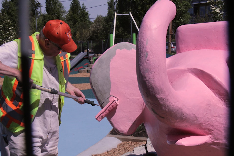 The pink elephant in Rutledge Park gets a primer ahead of the full paint job by a parks staff ahead of the grand reopening of the park in Saanich, B.C. on June 24, 2024. (Christine van Reeuwyk/News Staff)
