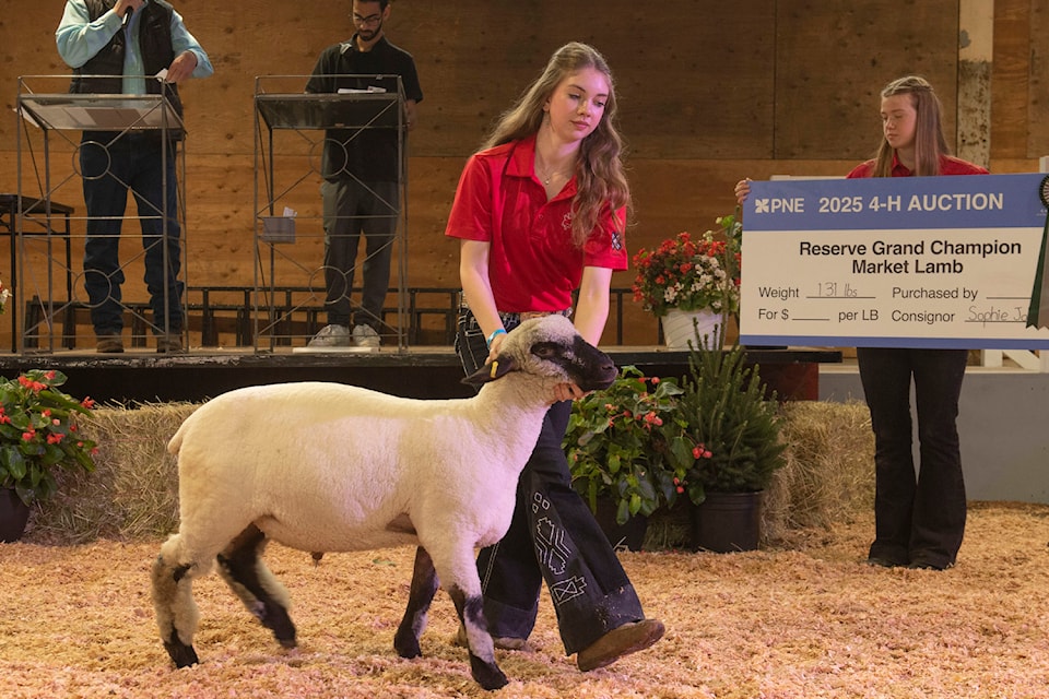 Sophie Jolivet of Saanich 4-H Lamb Club sold her reserve grand champion lamb.