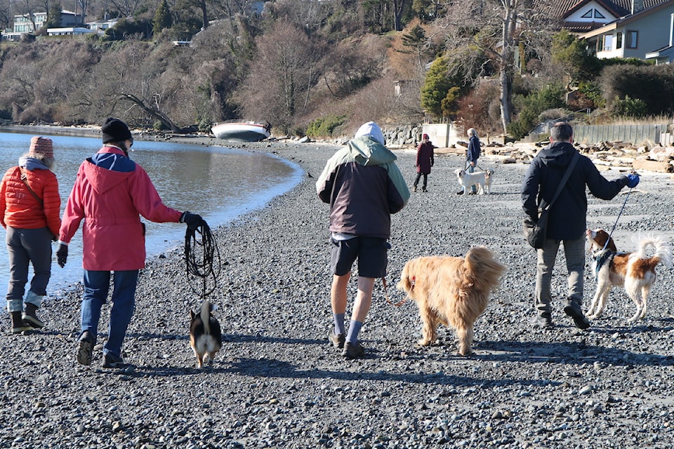 On-leash dogs and their companions enjoy the sunshine at Cadboro Bay Beach.
