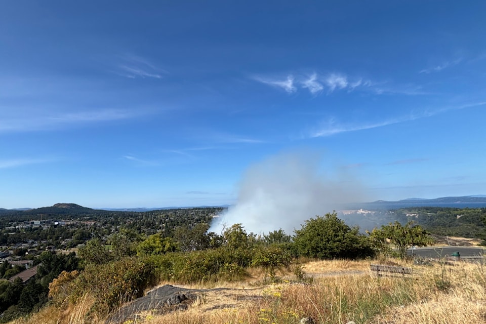 Saanich Fire Department responds to a brush fire on Mount Tolmie the afternoon of July 19.