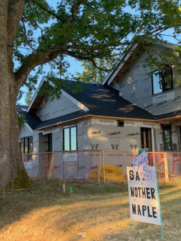 mother-maple-update