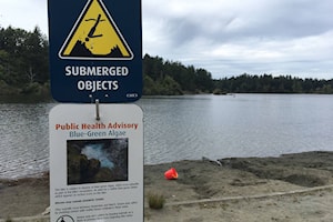 Swimmers limited by swath of Greater Victoria water warnings