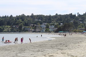 Good God: Saanich bylaw banning blasphemy captures national attention
