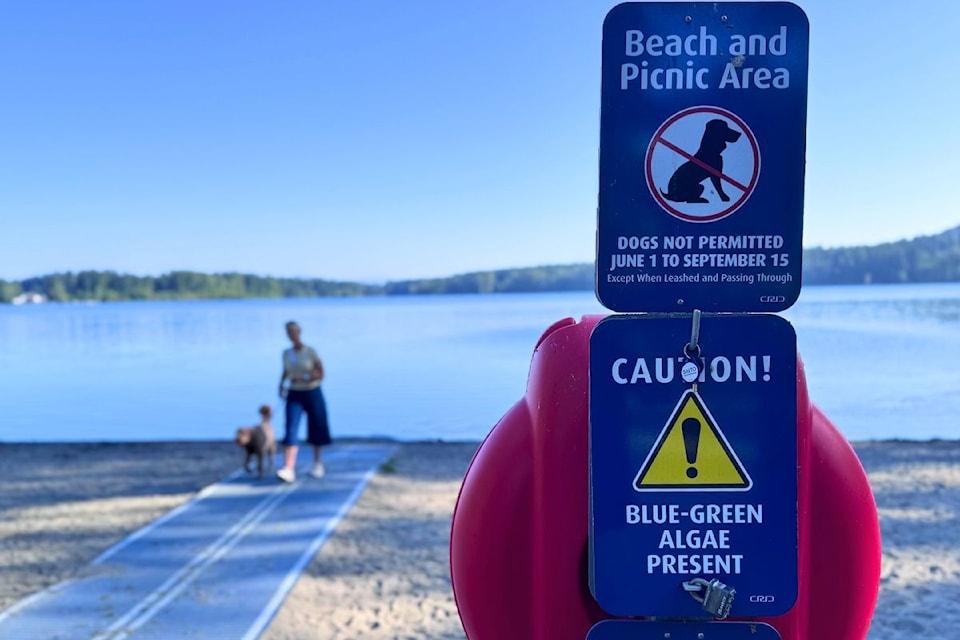 The Capital Regional District and Island Health advise users against swimming as blue-green algae remains at Elk Lake and Beaver Lake.
