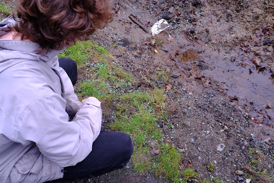 After kneeling down and closely inspecting the teal-coloured particles, Saanich resident Christopher Shepherd discovered that they were plastic shavings – ranging from fingernail-sized pieces to dust.  
