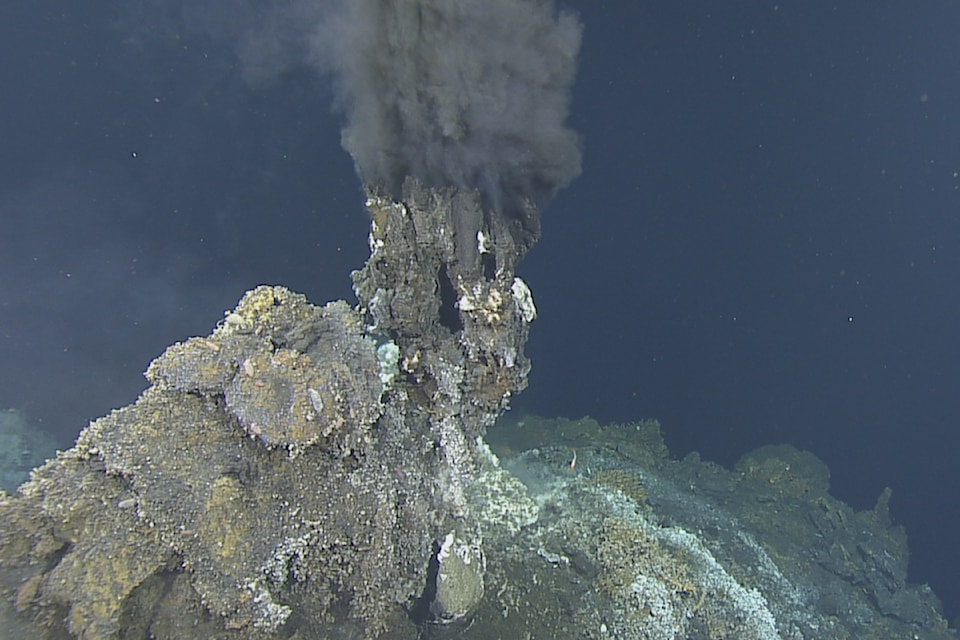 Hydrothermal vents are only found within Canada's largest marine protection area, named Tang. ɢwan-hacxwiqak-Tsig̱is, and were explored during a three week expedition off Vancouver Island in June 2024.