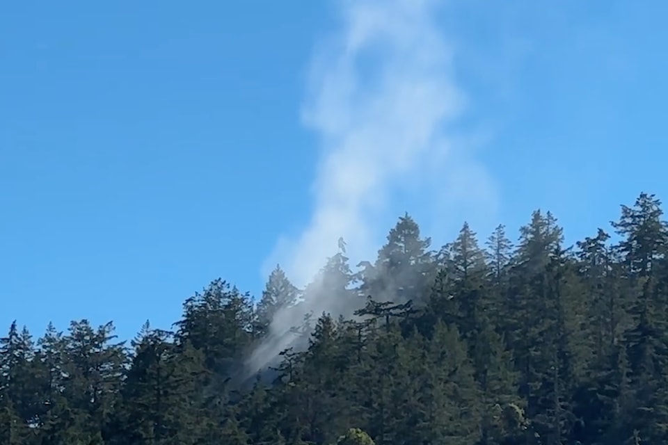 bearhillfire