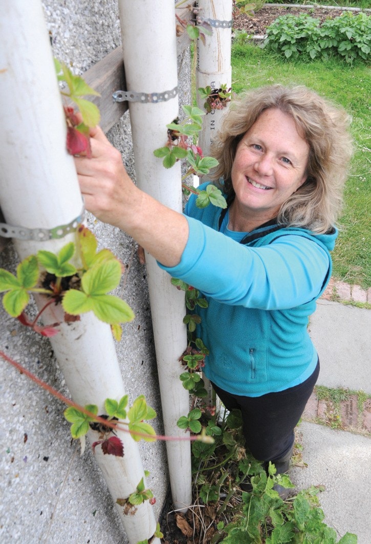 Urban Farmer