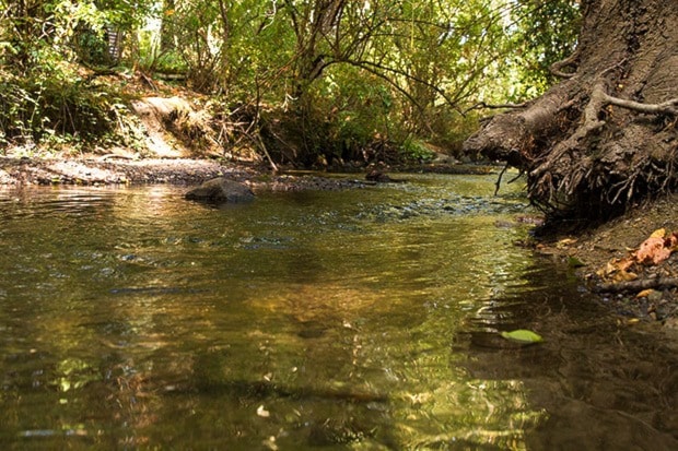 The Colquitz River will receive some extra work from the Peninsu