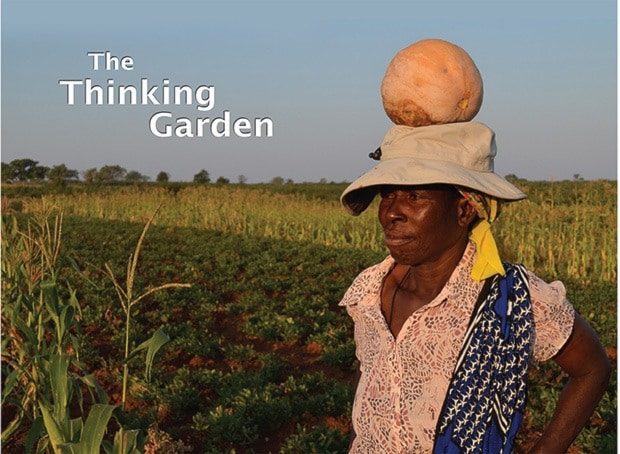 The Thinking Garden 3