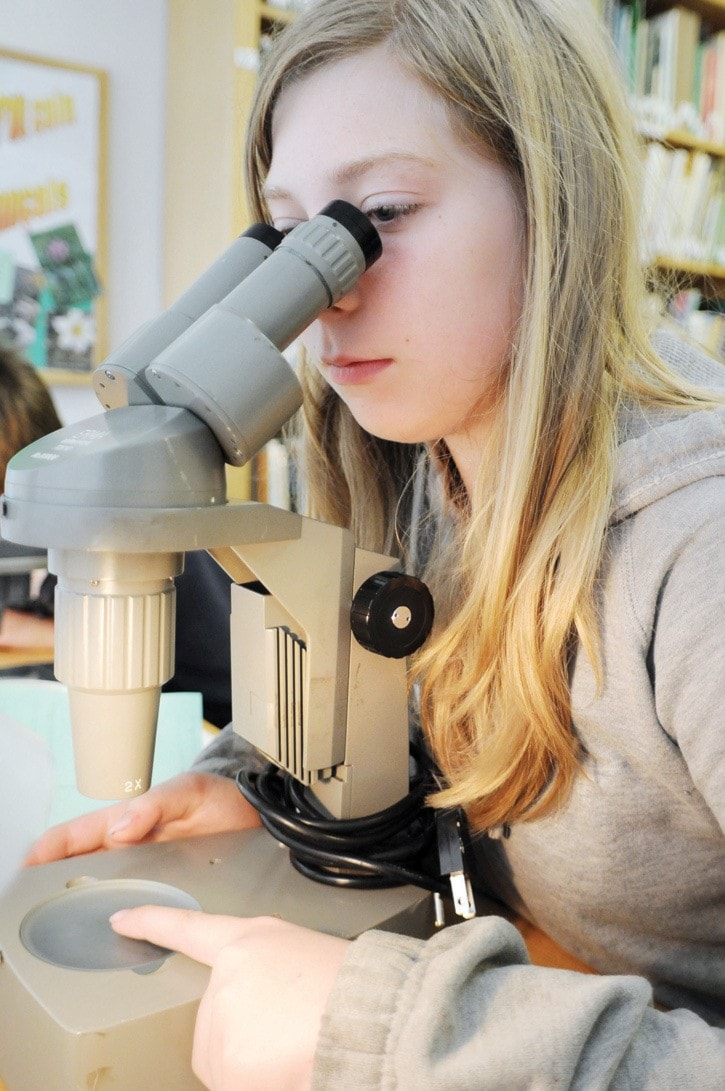 Microscope Program