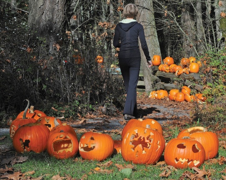 Mt. Doug Pumpkins 1