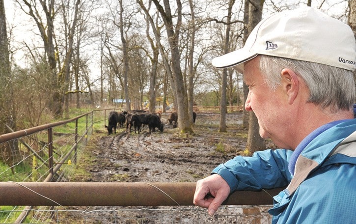 Ted Lea-Angry Cow Farm Neighbour