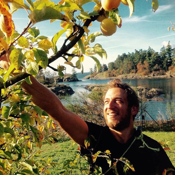 Submitted Volunteer Nate Rosenstock picks for LifeCycles Fruit Tree Project