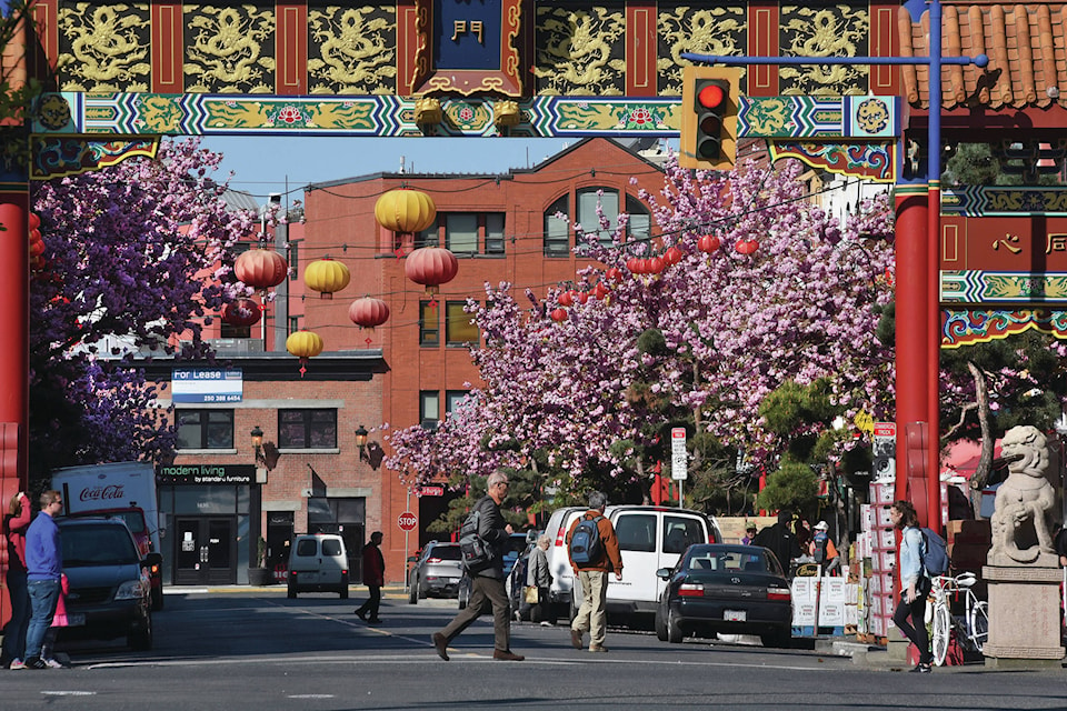 9220181_web1_VN-Chinatown-Cherry-Blossoms-SA-P-Apr1316